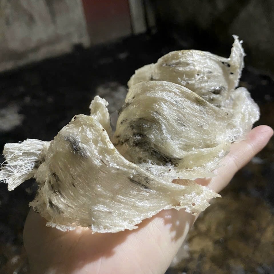 Yến Thô Tiêu Chuẩn Khánh Hòa